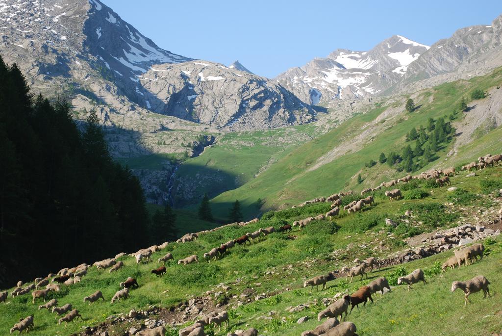 Le Clos Du Berger Le Sauze Luaran gambar